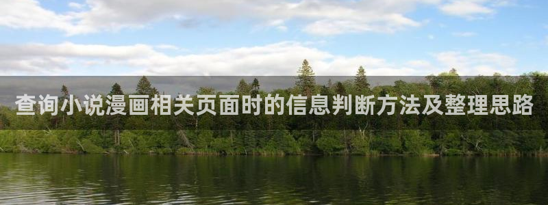 在线国漫:查询小说漫画相关页面时的信息判断方法及整理思路